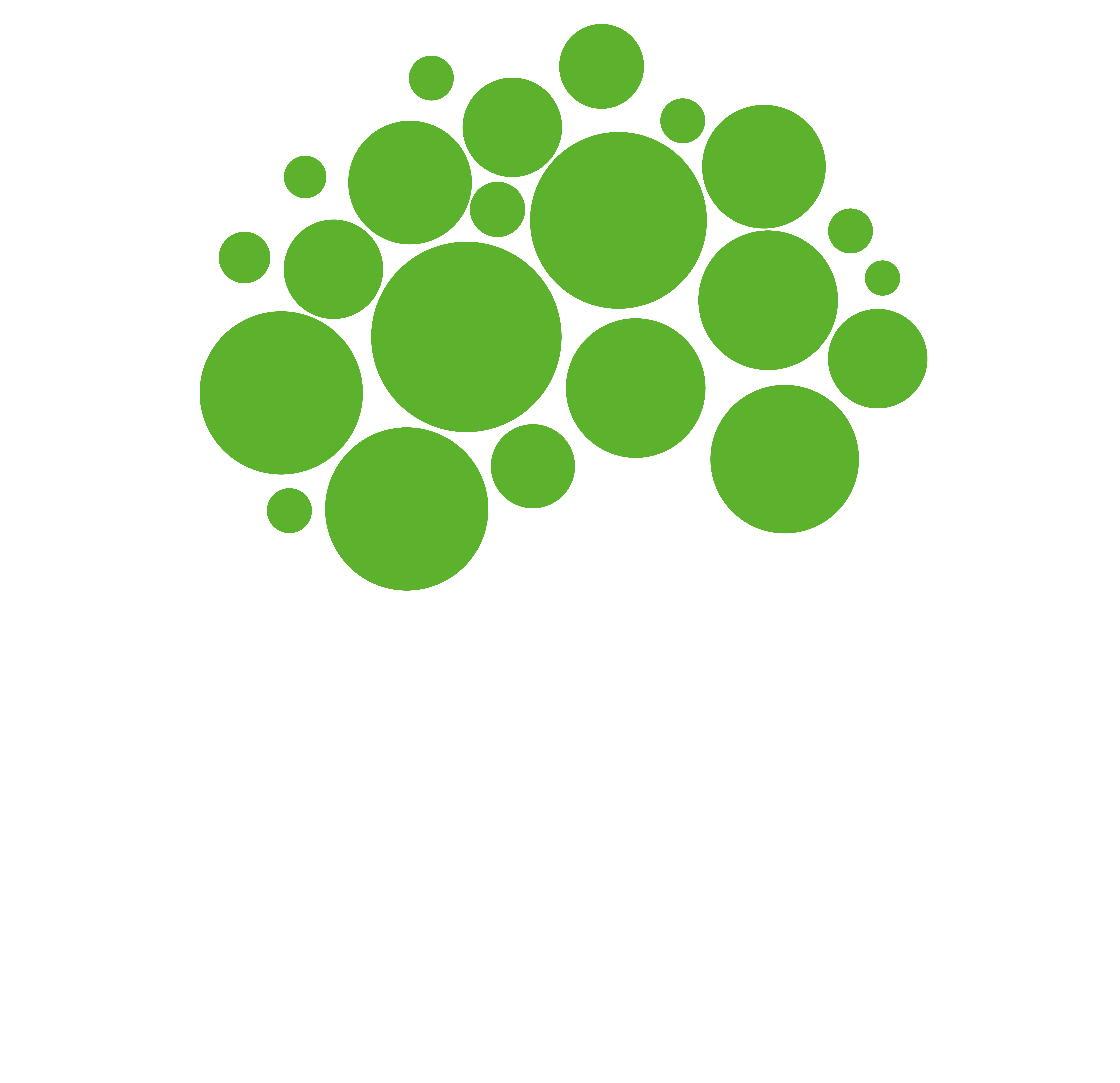 Logo_borlinden